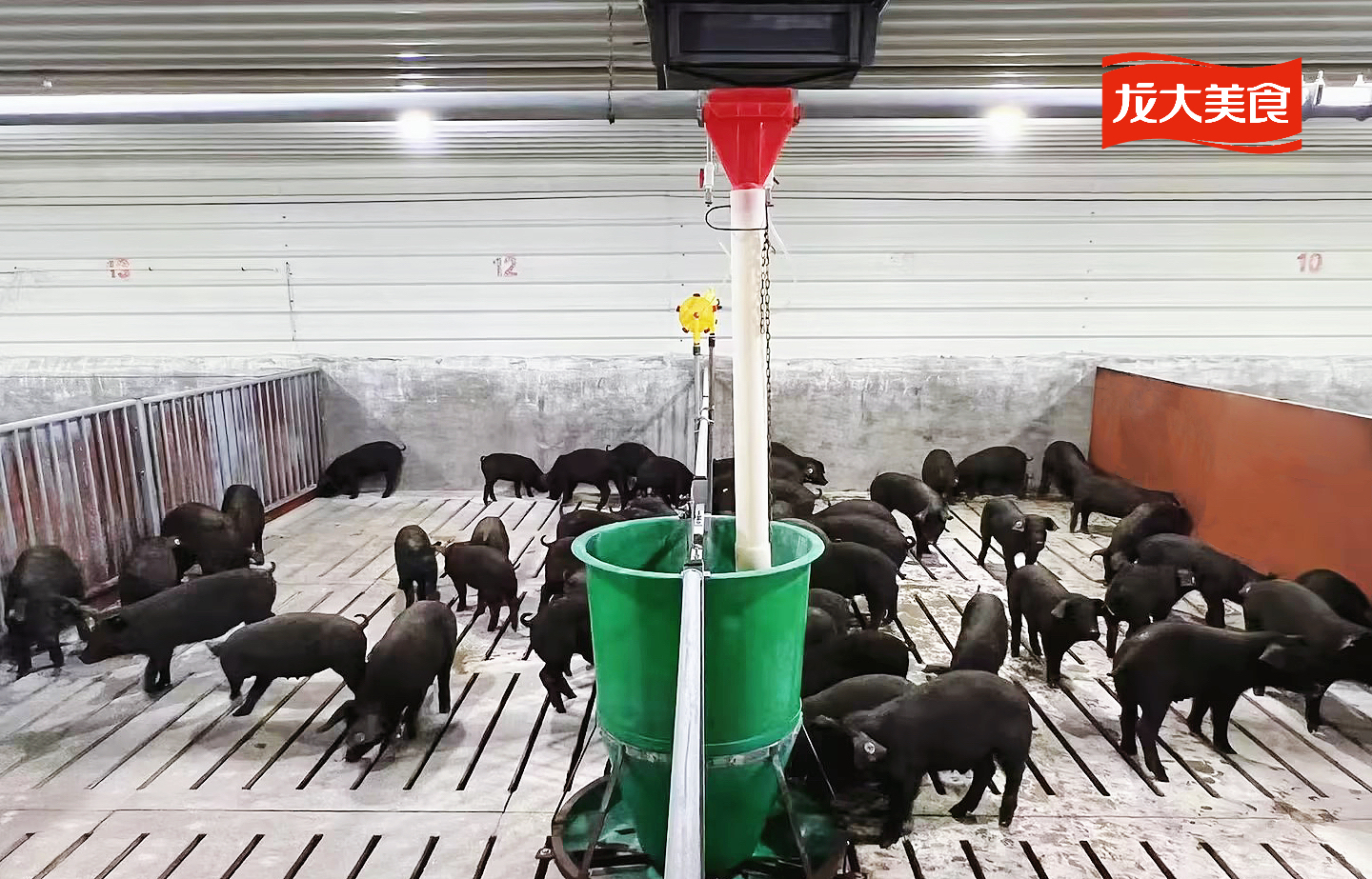 93da4111-f9eb-4c14-86e5-a2d5b5c6819b.jpg 93da4111-f9eb-4c14-86e5-a2d5b5c6819b.jpg